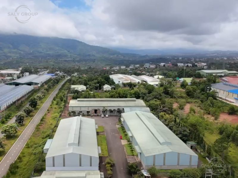 Ban Lãnh Đạo Saly Group Thăm Nhà Máy Sản Xuất Trà SaLy Farms